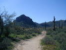 photo thumbnail #1
