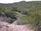 photo thumbnail #4