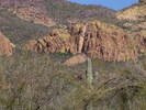 photo thumbnail #5