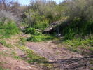 photo thumbnail #9