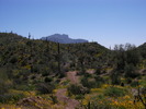 photo thumbnail #11