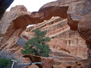 photo thumbnail #10