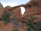 photo thumbnail #12