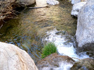 photo thumbnail #13