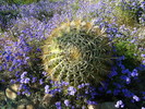 photo thumbnail #11