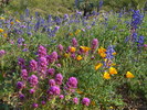 photo thumbnail #13