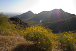 photo thumbnail #1