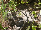 photo thumbnail #15