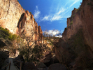 photo thumbnail #7