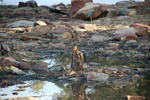 photo thumbnail #1