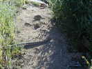 photo thumbnail #12