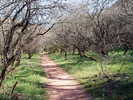 photo thumbnail #3