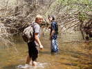 photo thumbnail #13