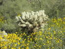photo thumbnail #2