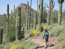photo thumbnail #10
