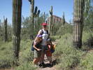 photo thumbnail #11
