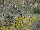 photo thumbnail #12