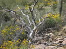 photo thumbnail #13