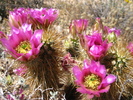 photo thumbnail #2