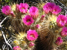 photo thumbnail #6