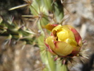 photo thumbnail #12