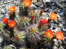 photo thumbnail #14