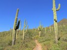 photo thumbnail #15