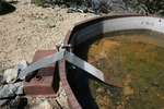 photo thumbnail #7