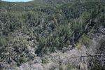 photo thumbnail #8