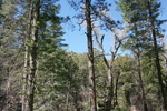 photo thumbnail #10