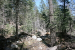 photo thumbnail #12