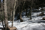 photo thumbnail #13