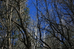 photo thumbnail #15
