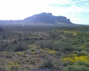 photo thumbnail #3