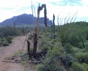 photo thumbnail #7
