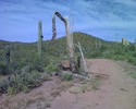 photo thumbnail #8