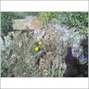 photo thumbnail #3