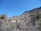 photo thumbnail #1