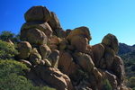photo thumbnail #4