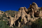 photo thumbnail #6
