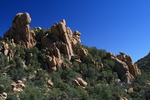 photo thumbnail #8