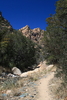 photo thumbnail #15