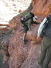 photo thumbnail #10