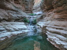 photo thumbnail #13