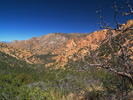 photo thumbnail #6