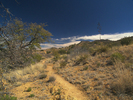 photo thumbnail #4