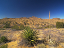 photo thumbnail #5