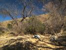 photo thumbnail #15