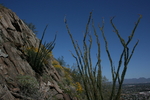 photo thumbnail #9