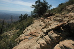 photo thumbnail #6